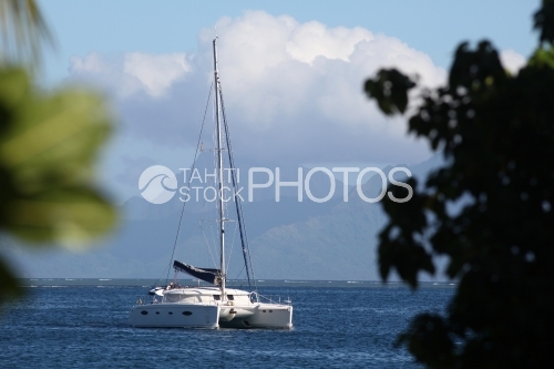 Catamaran sailing Near islands, Voilier Navigant Entre les Iles