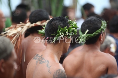 Flowers Crown, Couronne de Fleurs