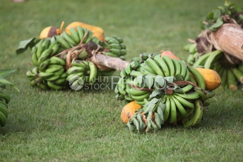 Fruits exposed on the grass, bananas