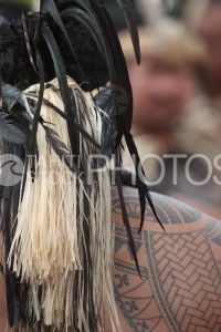 Tatoo and headdress on Marquesian Dancer, Tatouage et coiffe d'un danseur Marquisien