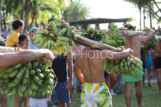 Tahiti, Polynesian men carrying bunches of bananas on their shoulders, Fruit Carrier Race, Tuaro Maohi, Polynesia