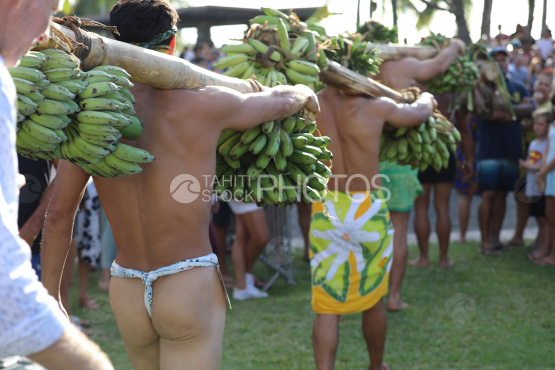 Tahiti, Polynesian men carrying bunches of bananas on their shoulders, Fruit Carrier Race, Tuaro Maohi, Polynesia