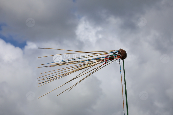 Tahiti, Target, coconut, traditional javelin throwing competition, Tuaro Maohi, Polynesia.