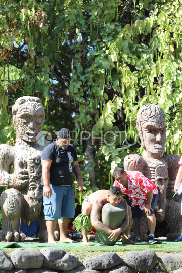 Tahiti, Man lifting a heavy stone, Stone lifting competition, Tuaro Maohi, Polynesia