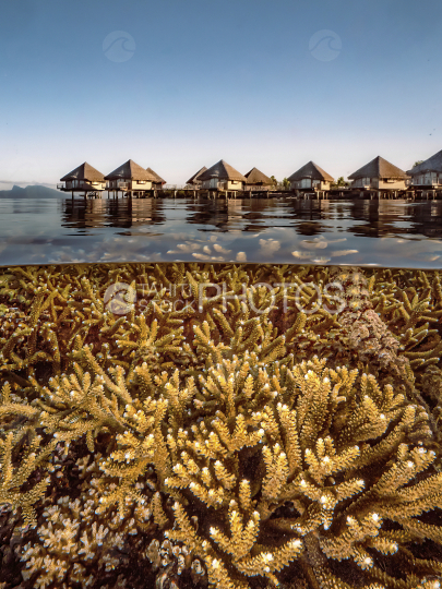 Tahiti, lagoon, polynesia, Tahiti, hotel on stilts