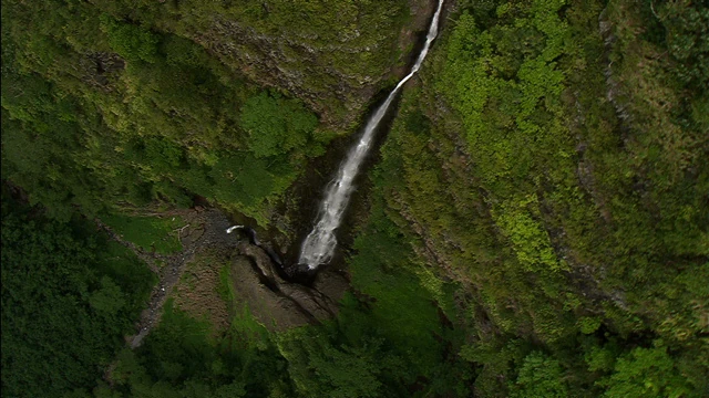 Tahiti Stock Footage: Vertical