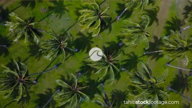 Green stock footage